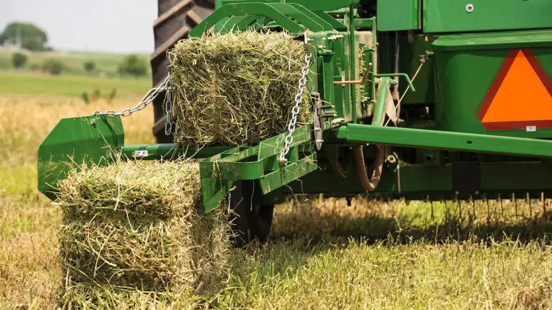 Square baler operating in a tough corn stalk field